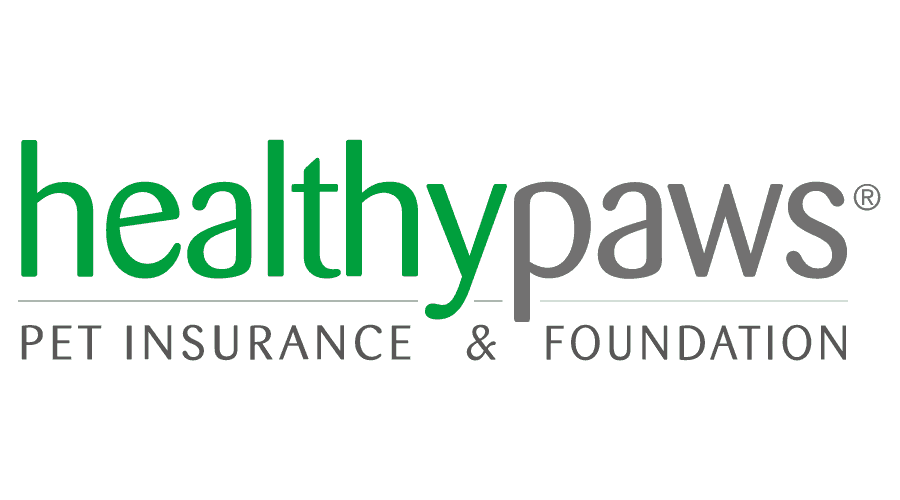 healthy paws